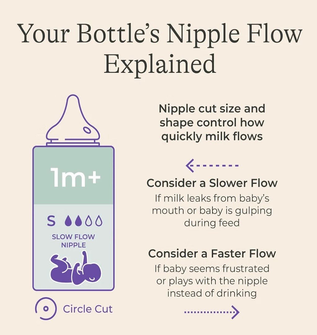 Lansinoh Anti-Colic Baby Bottle, 5 oz, Slow Flow, 1-Pack